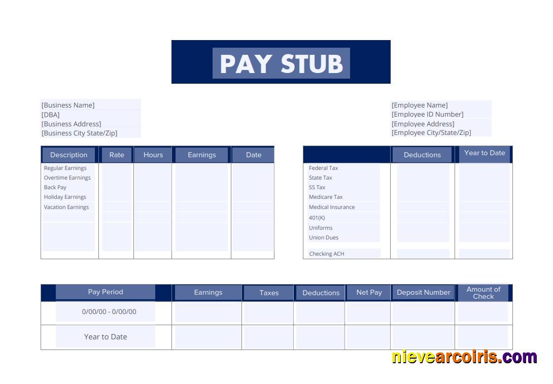 Employee pay stub version 6
